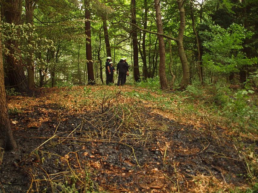 Waldbrand Bergisch Gladbach Bensberg P137.JPG